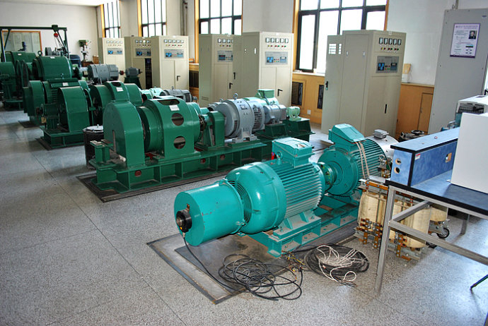 国营邦溪农场某热电厂使用我厂的YKK高压电机提供动力